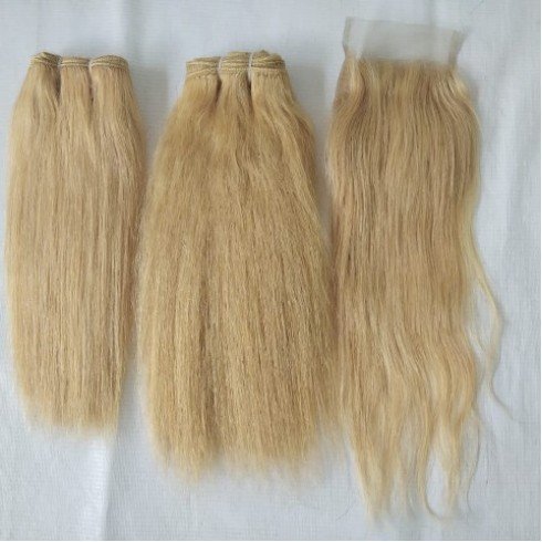 Blond Natural Straight Human Hair Closure